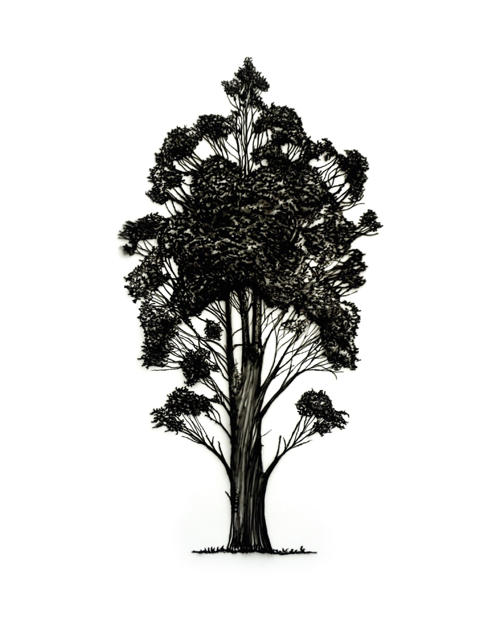 Does all the beauty of the world cease when you die?