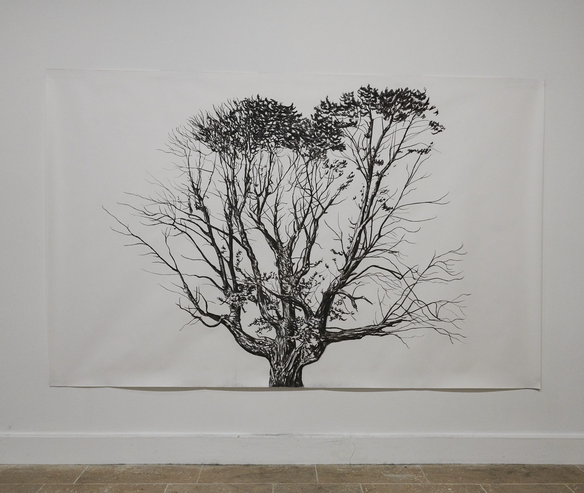 Mise en scène- Cecilia Danell, Eamon O’Kane