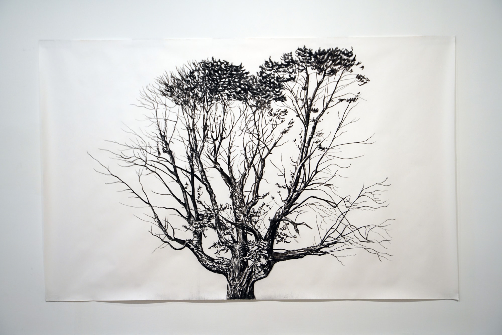 Mise en scène- Cecilia Danell, Eamon O’Kane