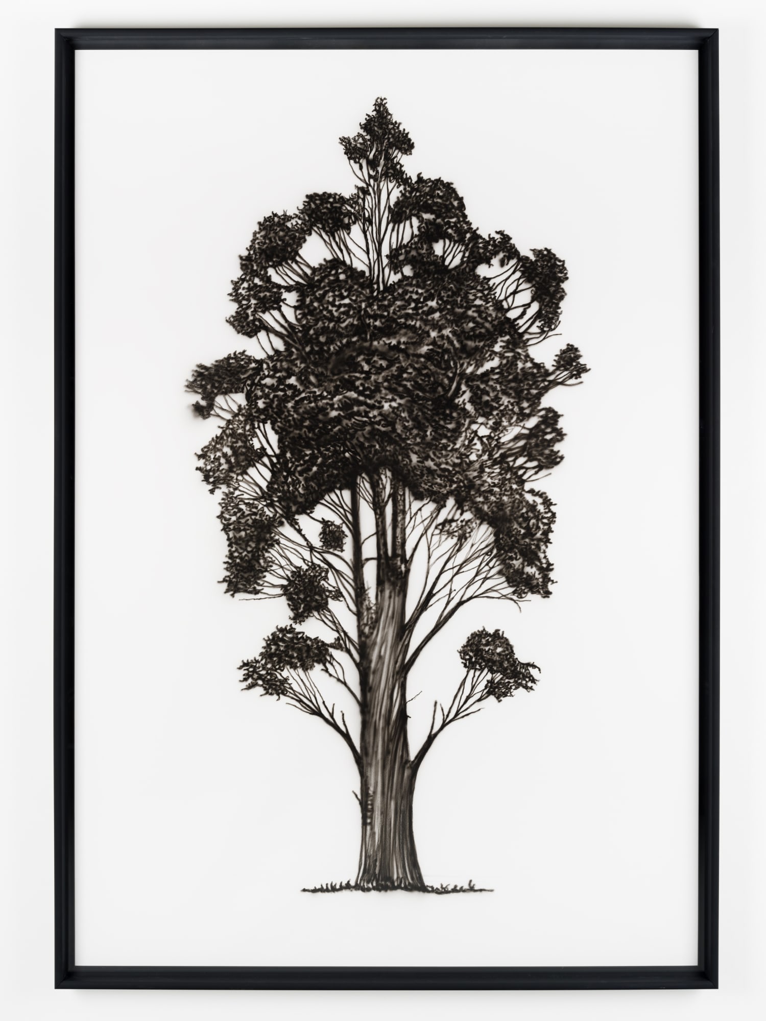 80th Anniversary Collection Exhibition