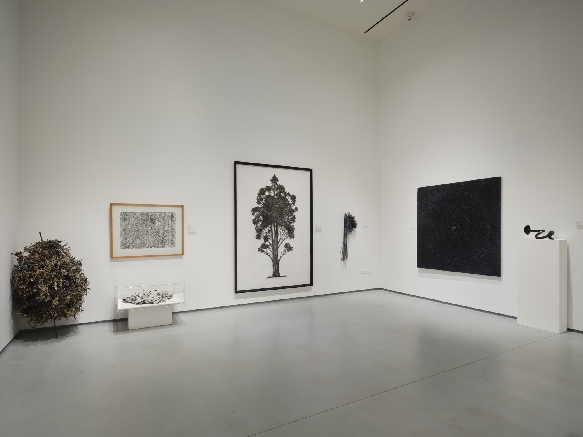 80th Anniversary Collection Exhibition