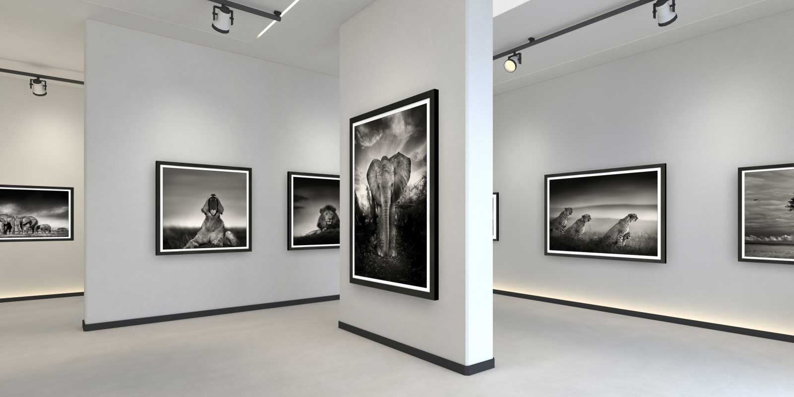 The Last of Their Kind