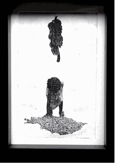 The Middle Passage: Alice in Wonderland