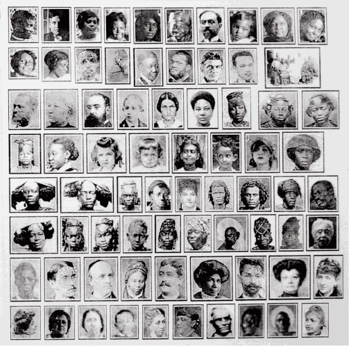 The Middle Passage: Alice in Wonderland