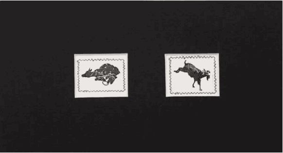 The Middle Passage: Alice in Wonderland