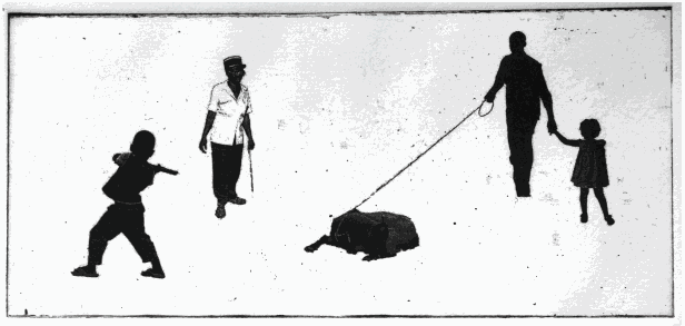 The Middle Passage: Alice in Wonderland