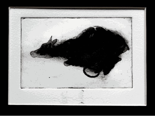 The Middle Passage: Alice in Wonderland