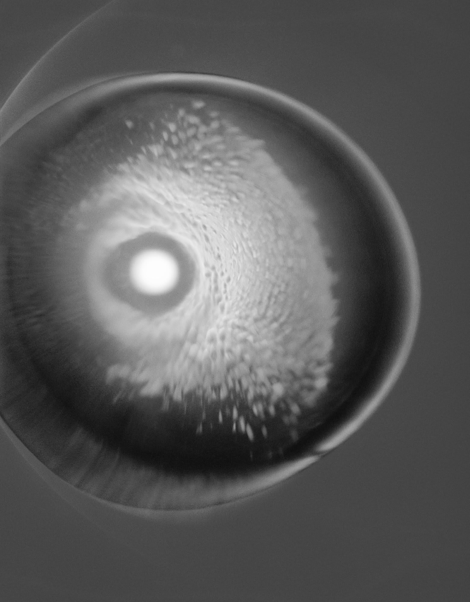 Nicolai Howalt: Light Break