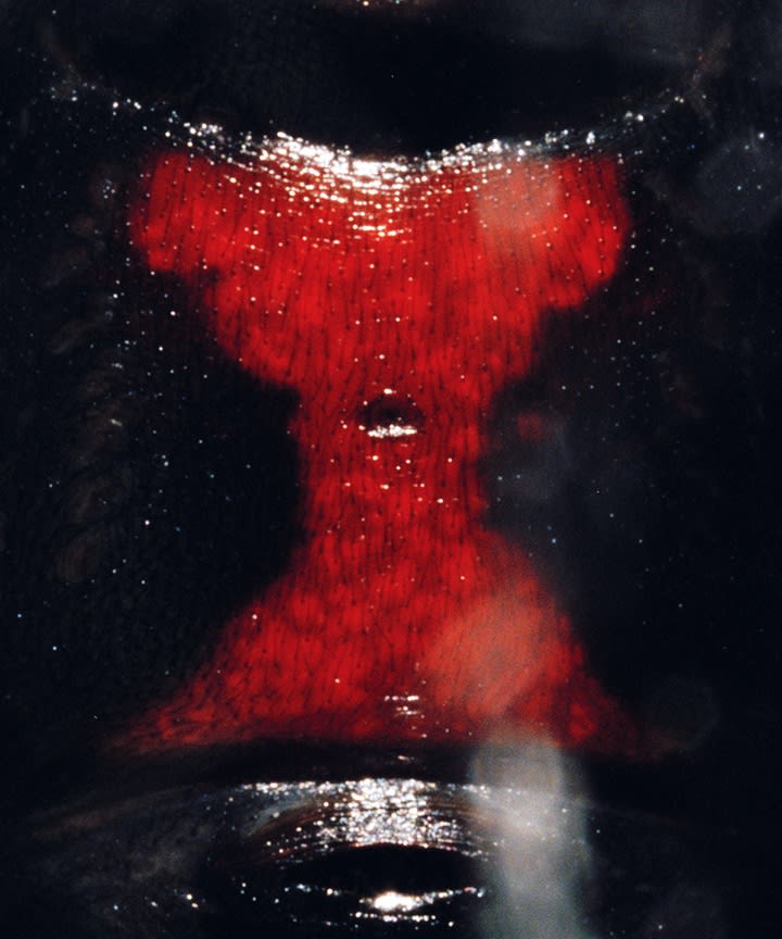 Andrew Sutherland: The Gold Standard