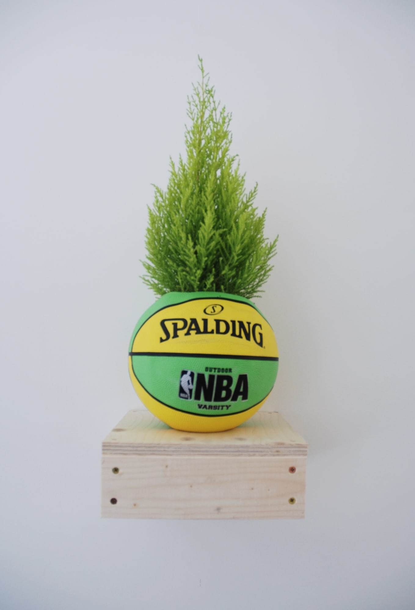 Radames “Juni” Figueroa