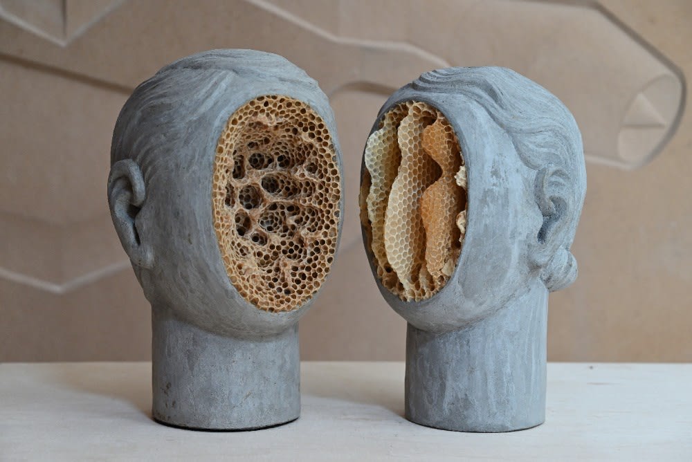 Anna Hulačová, Dialog: Bugonia V, 2024