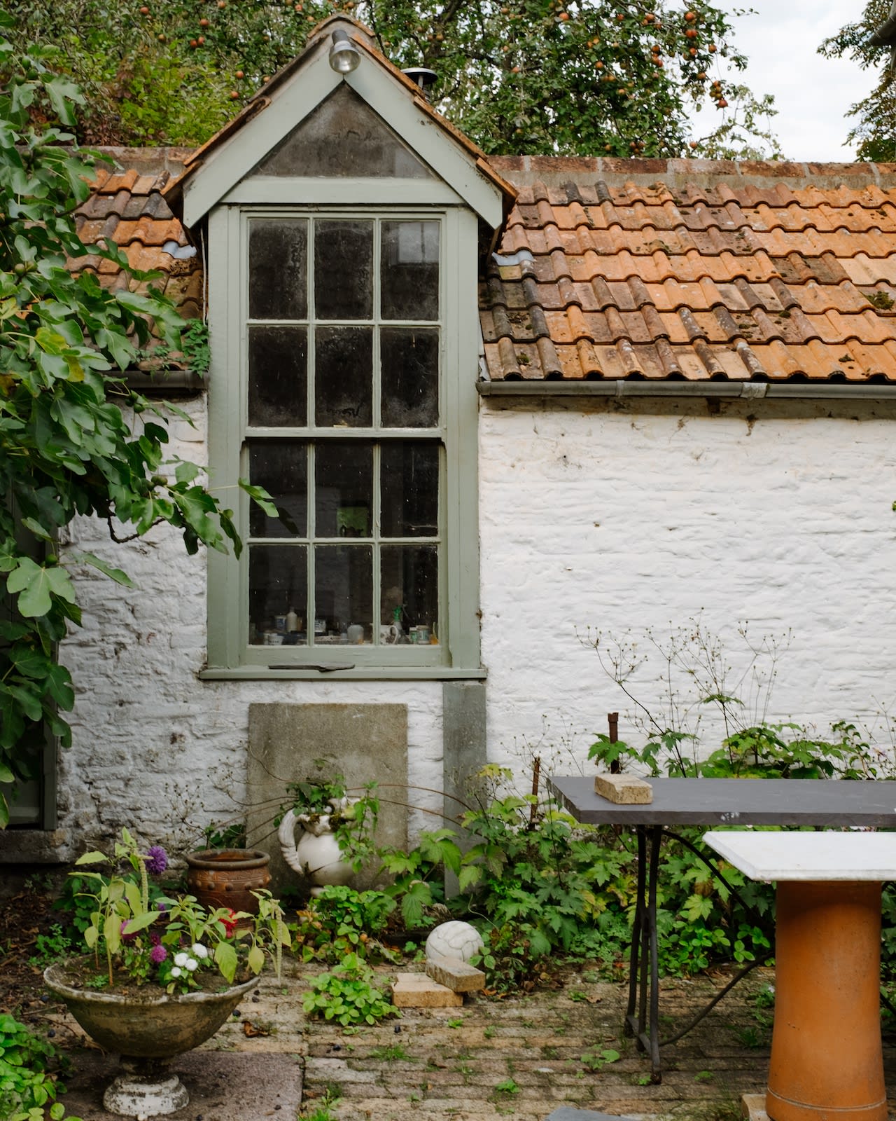 A fig tree leans towards the window into Prue's studio