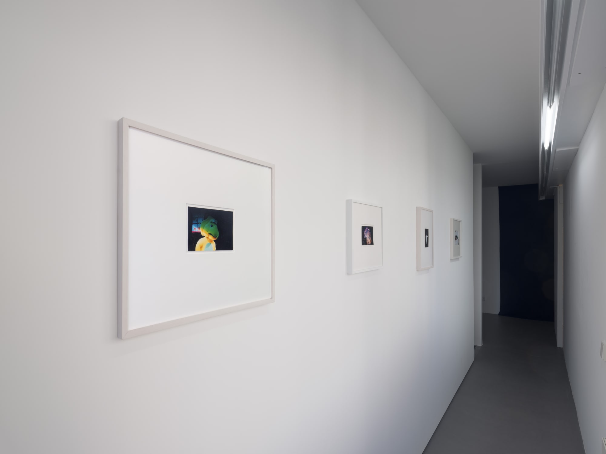 Peter Friedl, Report, 2019, Erna Hecey Gallery, Luxembourg