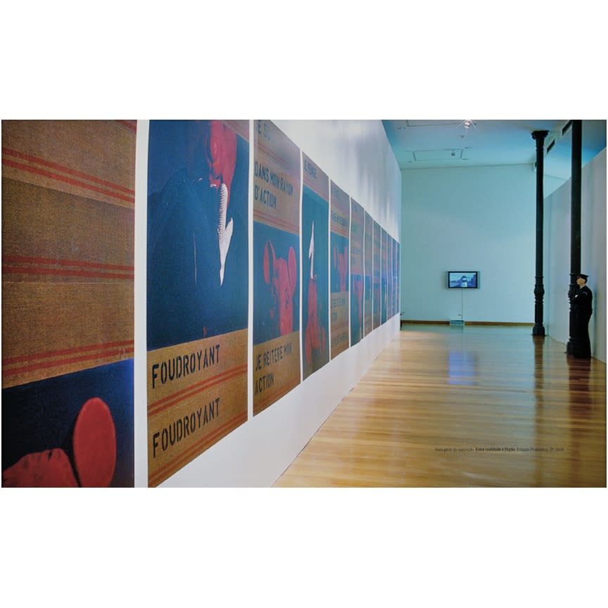 Suzanne Lafont, Episodio, exhibition view at Pinacoteca Sao Paulo, 2005