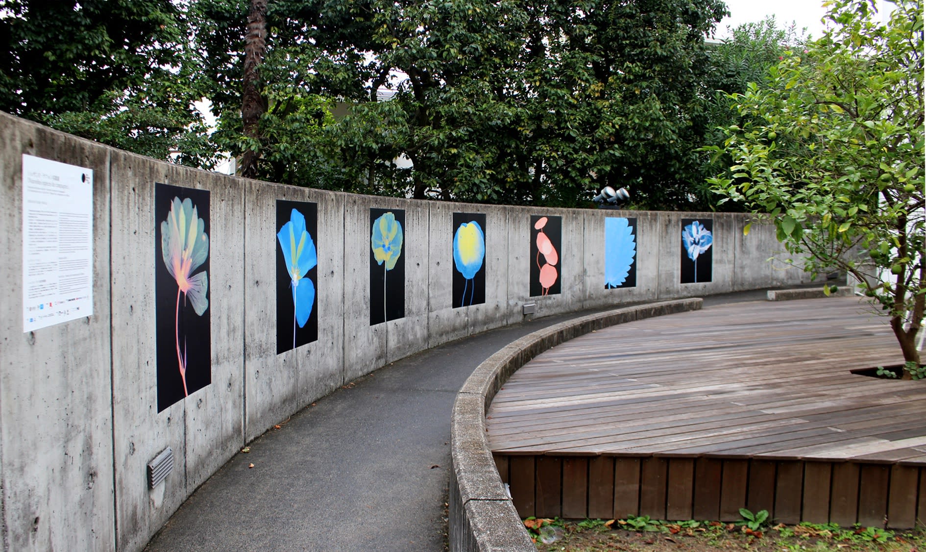 Suzanne Lafont, Nouvelles espèces de compagnie, exhibition view at French Institute of Japan, Kyoto, 8 October - 30 october 2021