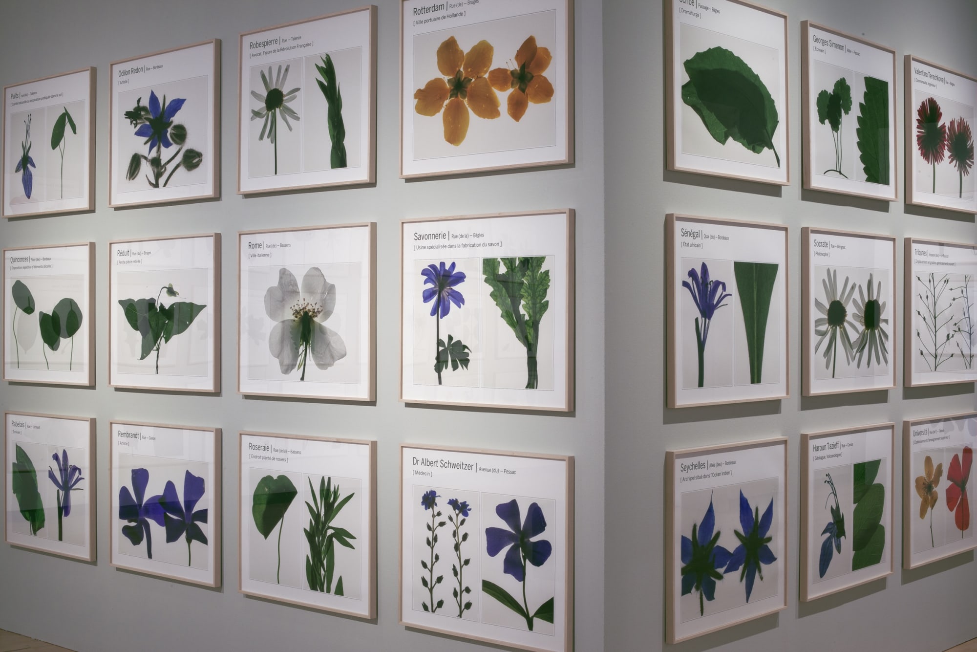 Suzanne Lafont, Nouvelles espèces de compagnie. Roman, exhibition view at Musée des Beaux-Arts de Bordeaux, 9 November 2018 - 8 April 2019