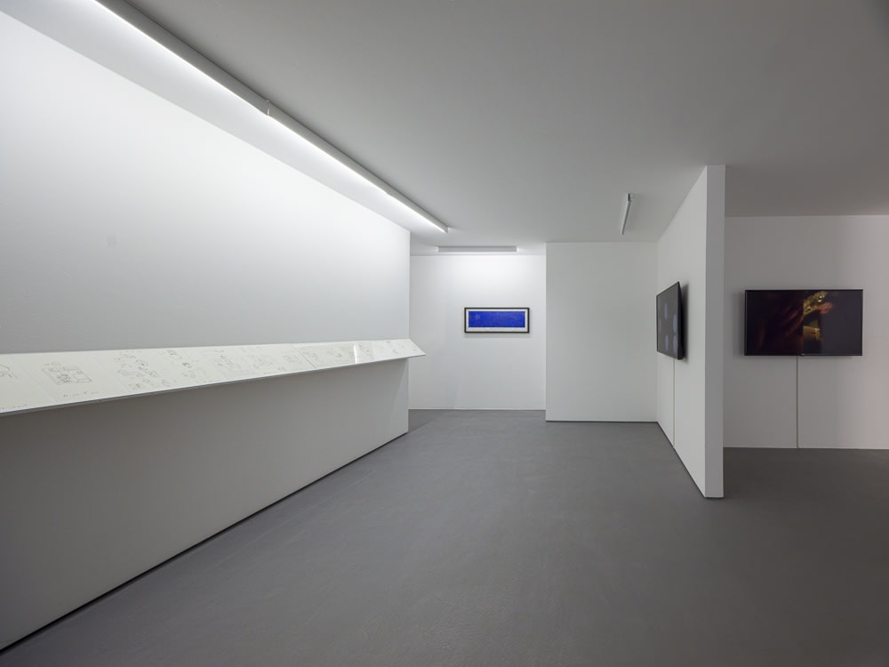 Exhibition view Roee Rosen, The Buried Alive Cycle, 2019, Erna Hecey Gallery, Luxembourg