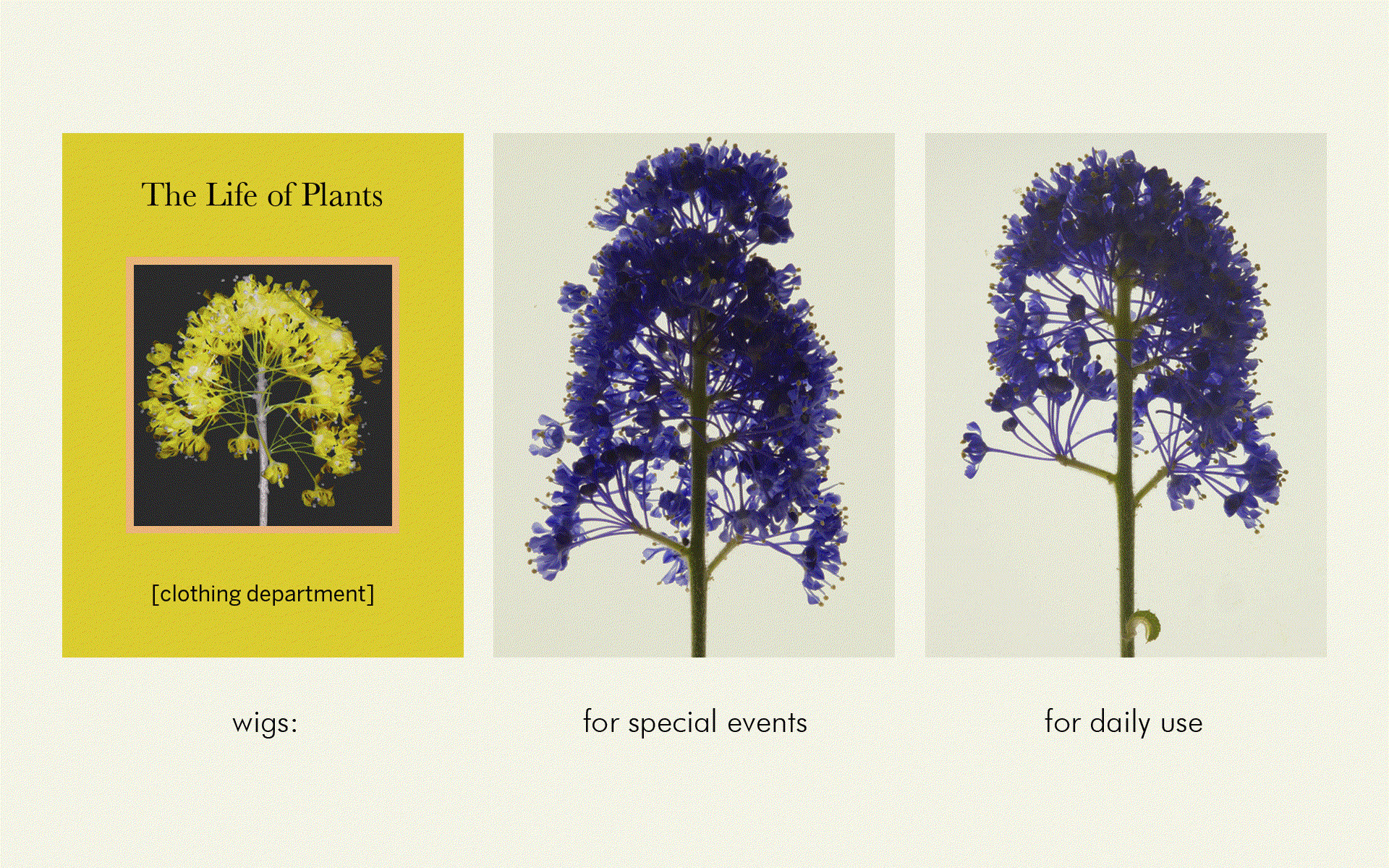 Suzanne-Lafont_Erna-Hecey_Strips_Viewing-Room_Sketches_exhibition_2020-2021