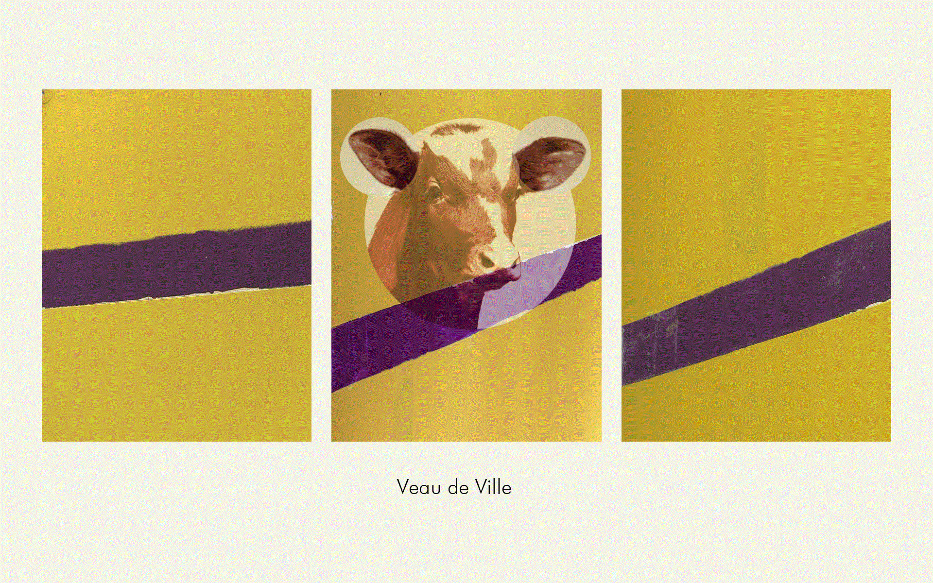 Suzanne_Lafont_Strips_online-viewing-room_2021_photography_erna-hecey