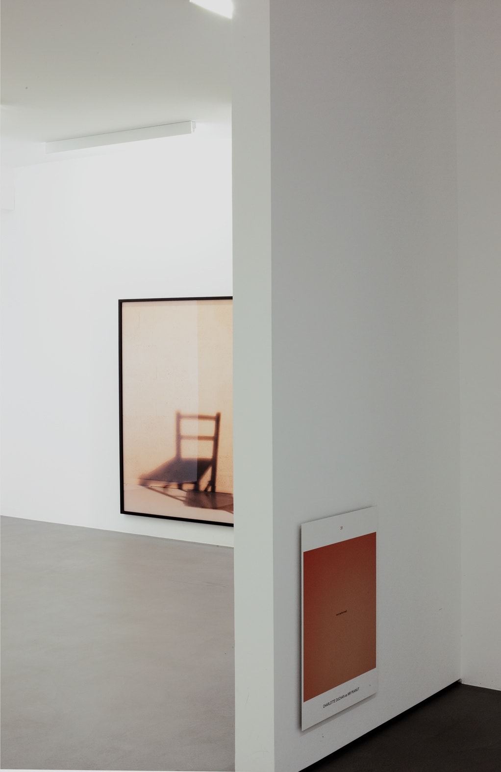 Suzanne-Lafont_How-Things-Think_exhibition_2021_erna-hecey-luxembourg