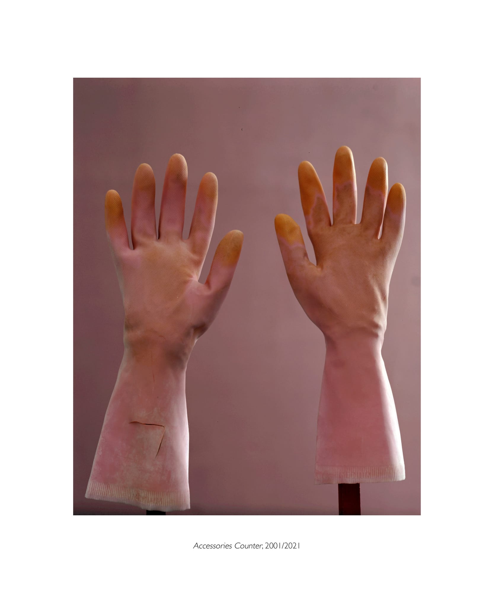 Suzanne-Lafont_How-Things-Think_exhibition_2021_erna-hecey-luxembourg