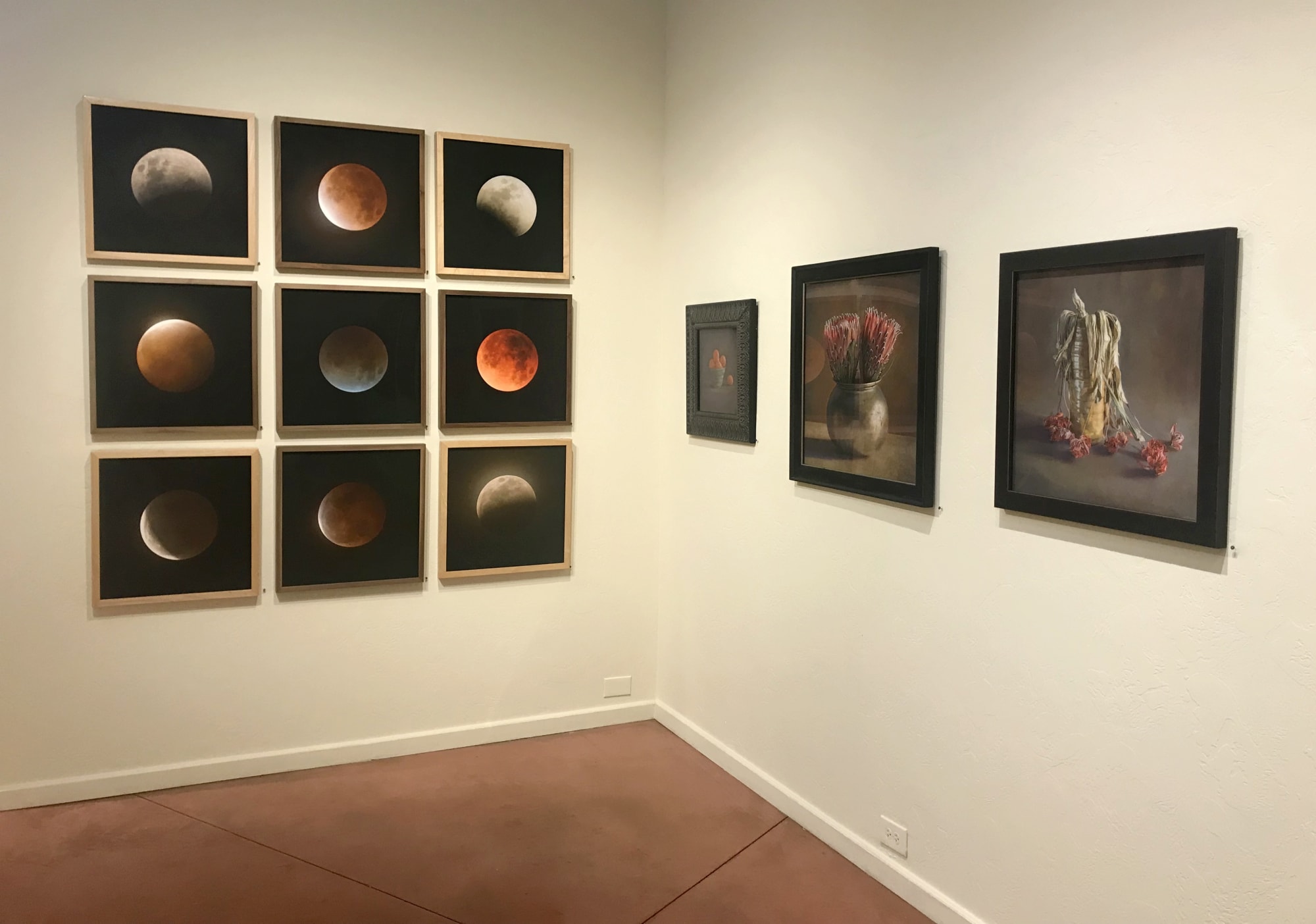 Kate Breakey: Transience