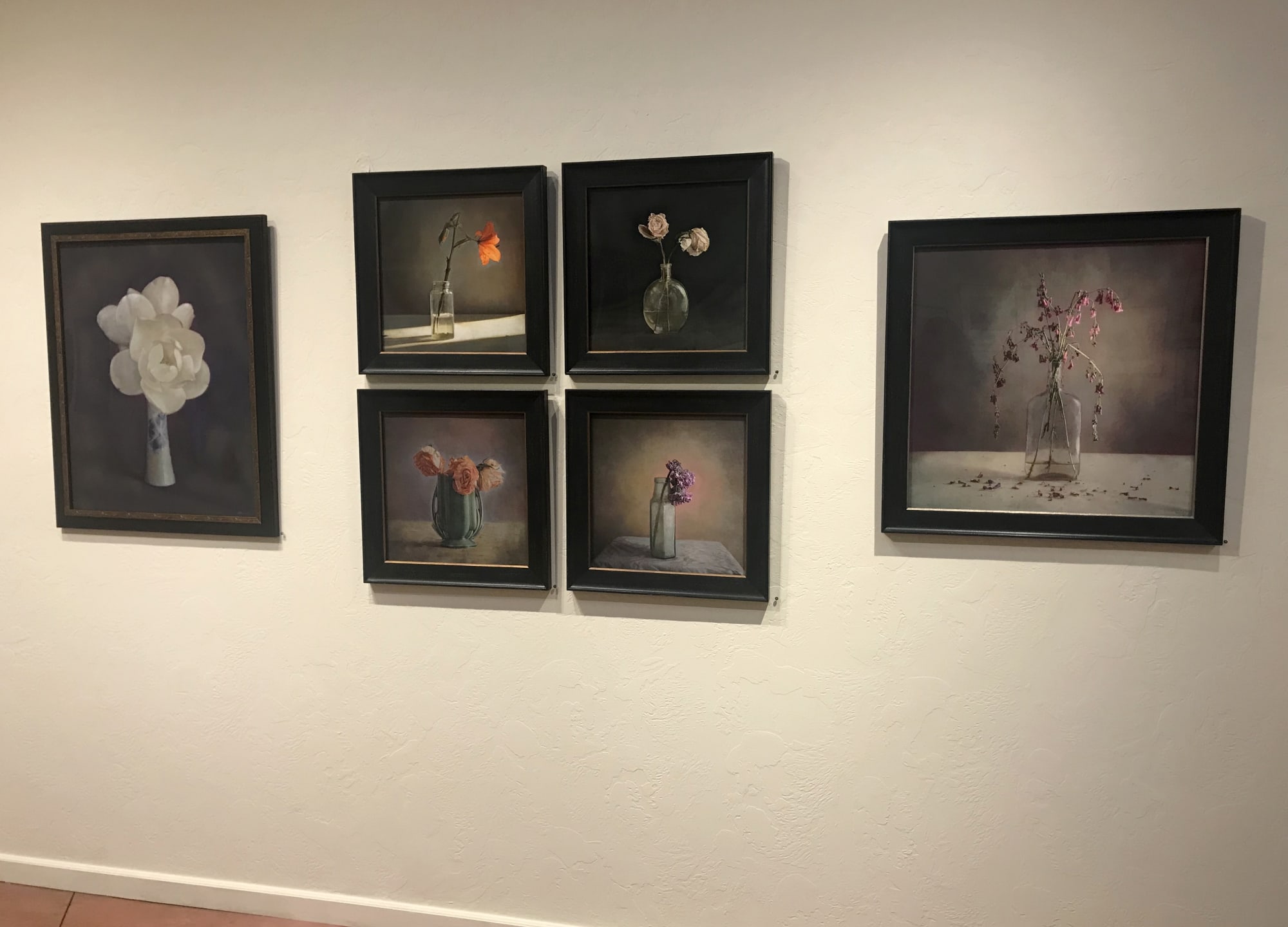 Kate Breakey: Transience