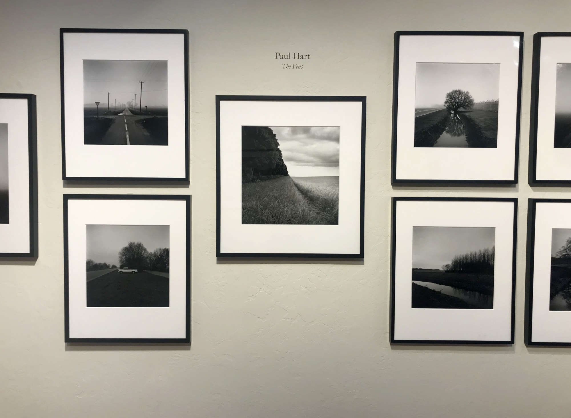 Kate Breakey: Transience