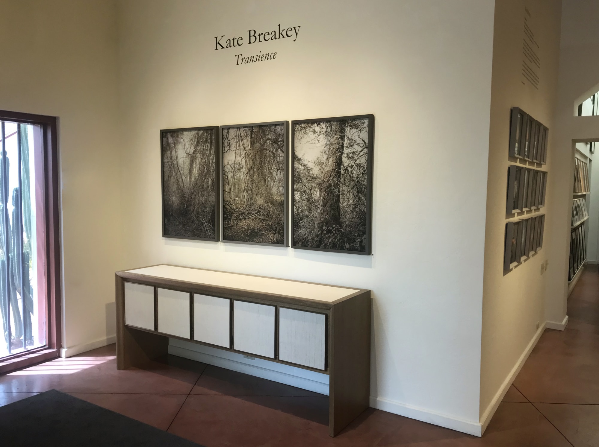 Kate Breakey: Transience