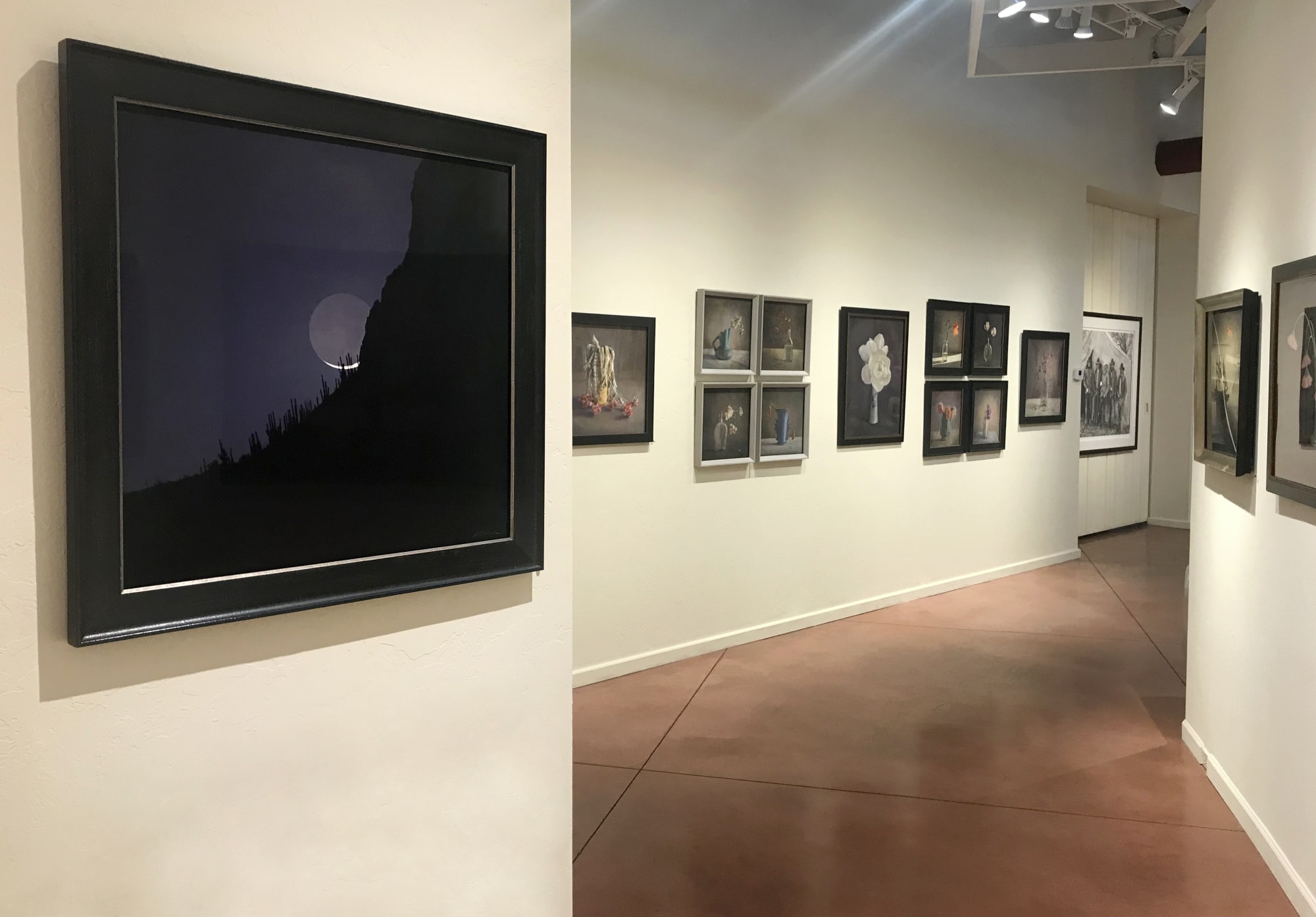 Kate Breakey: Transience