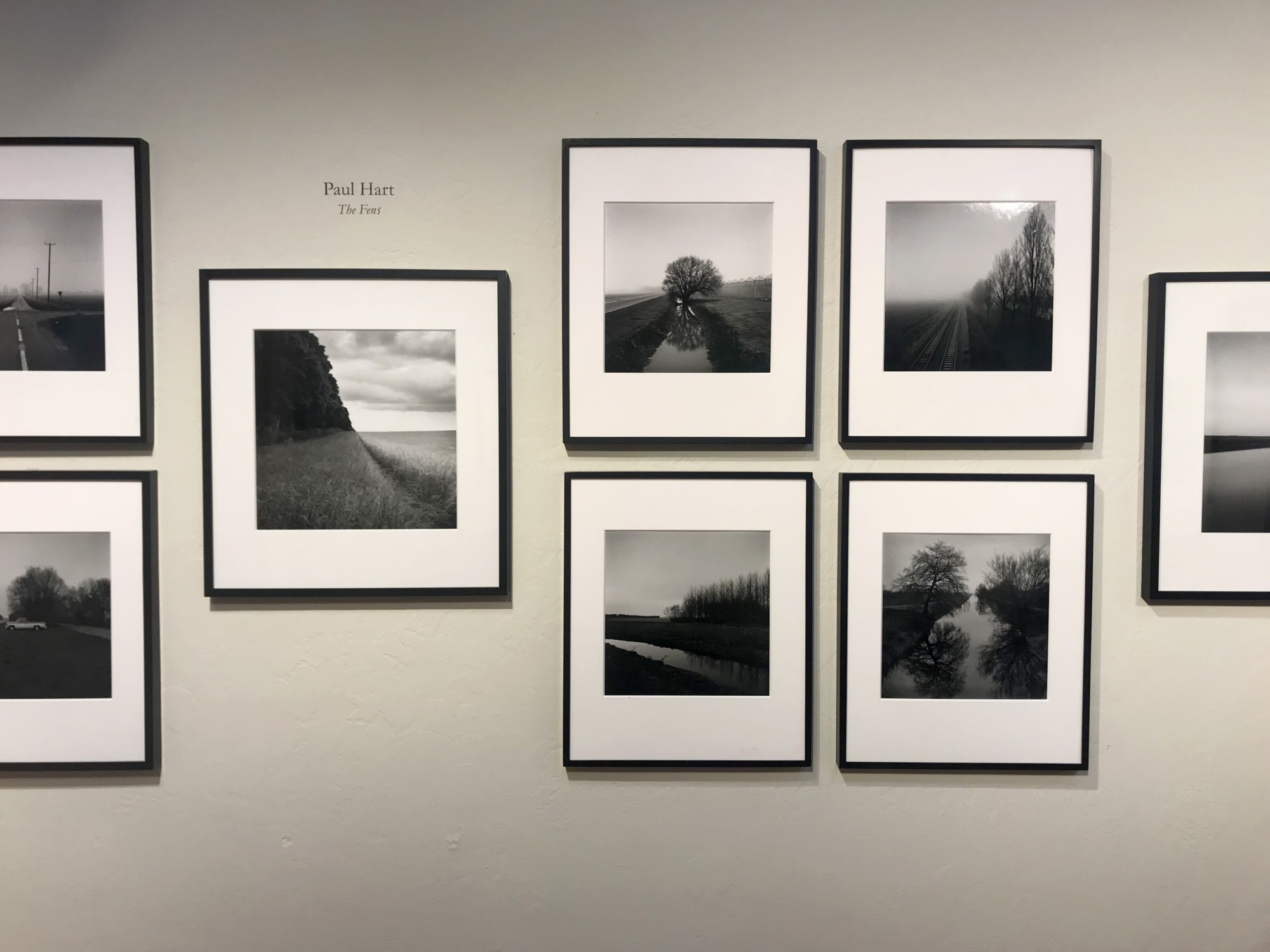 Kate Breakey: Transience