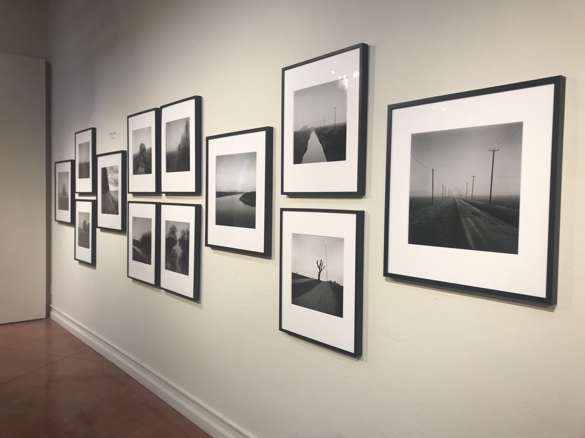 Kate Breakey: Transience