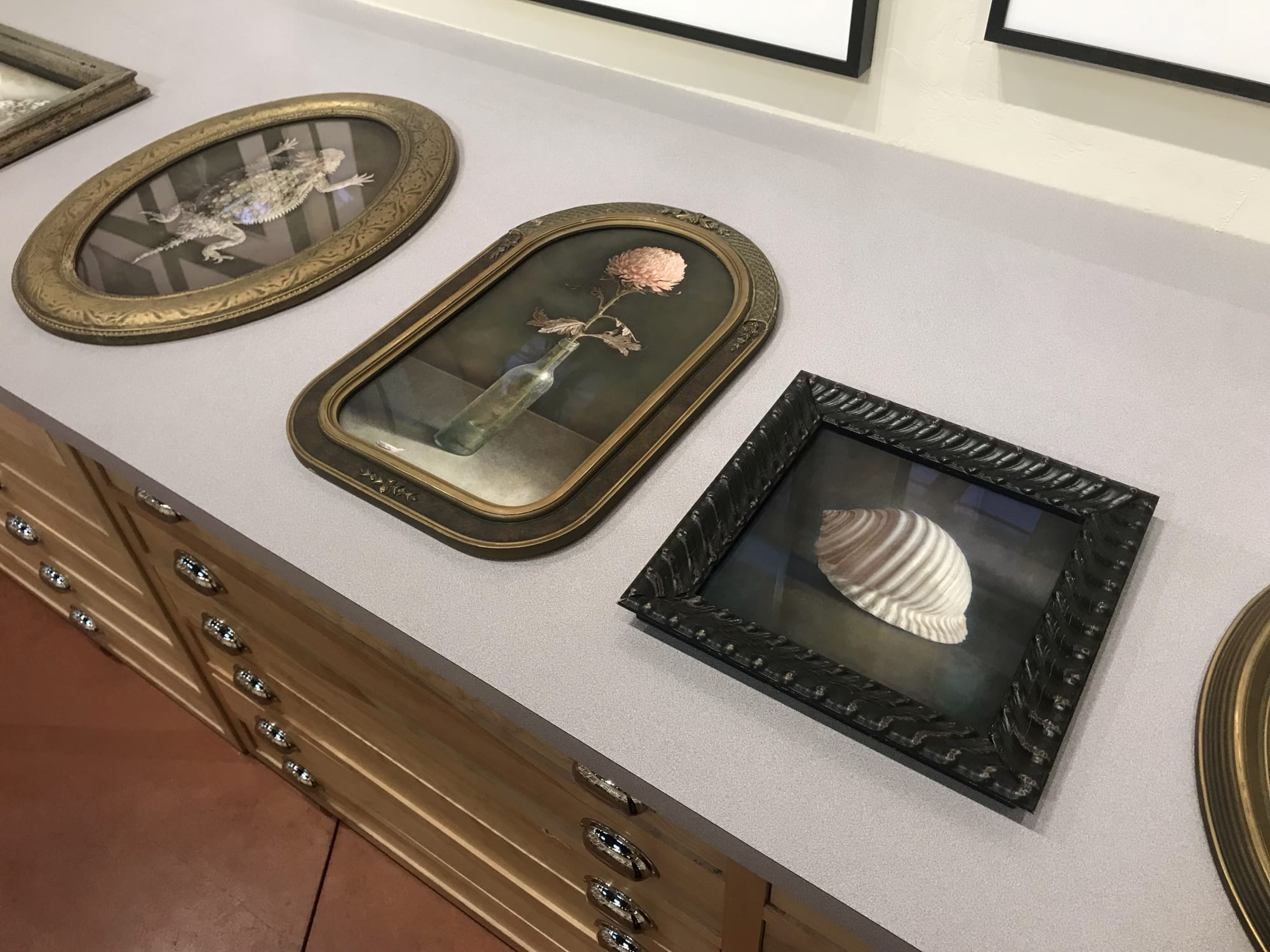 Kate Breakey: Transience