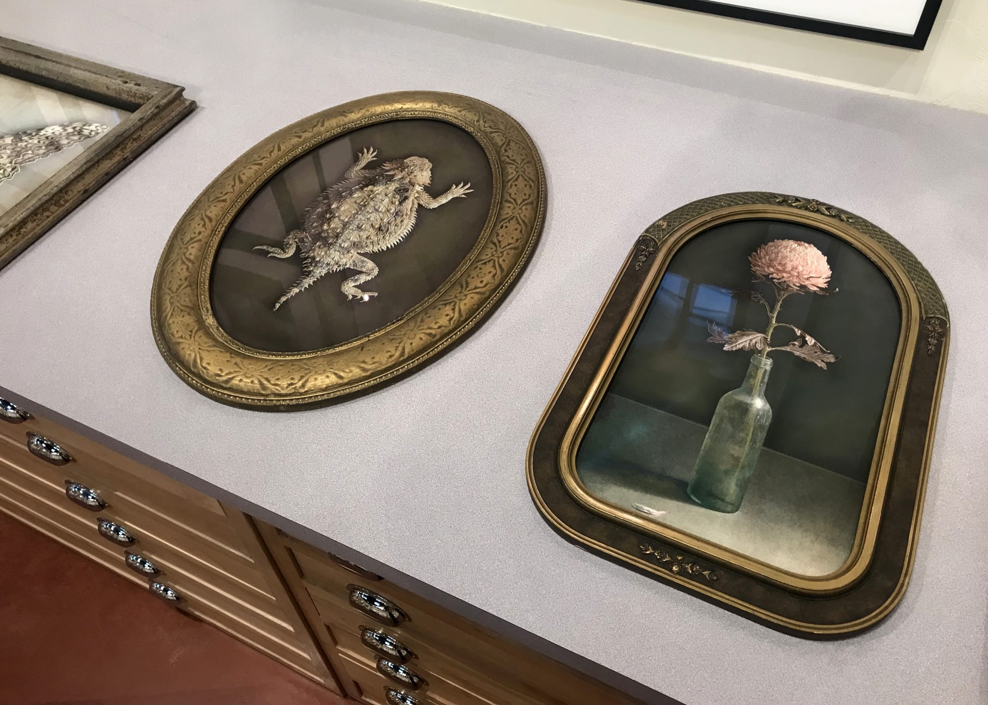 Kate Breakey: Transience