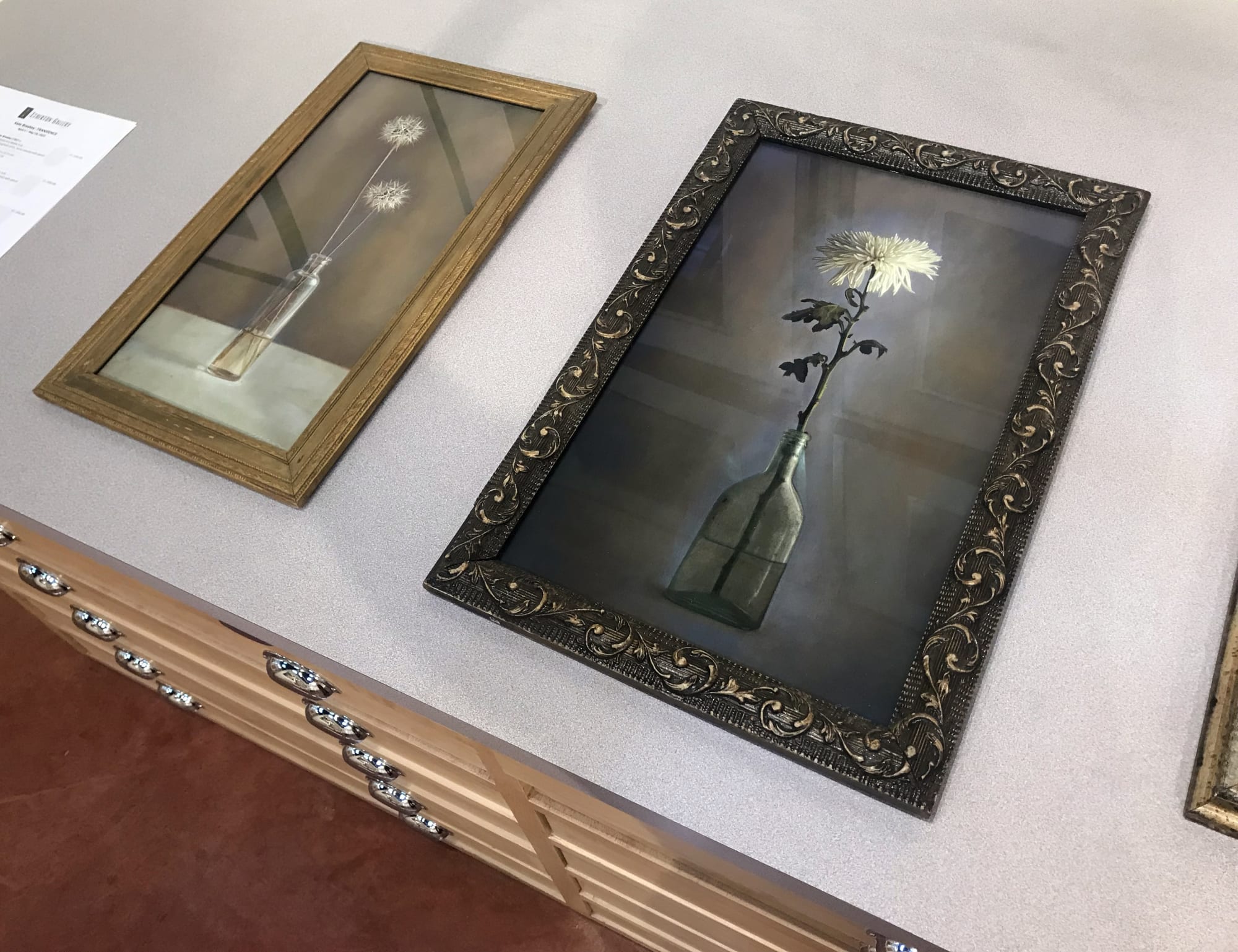 Kate Breakey: Transience