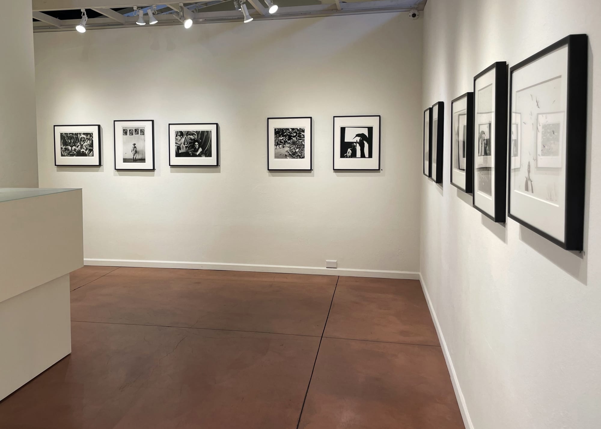 Graciela Iturbide: Sueños, Símbolos, y Narración