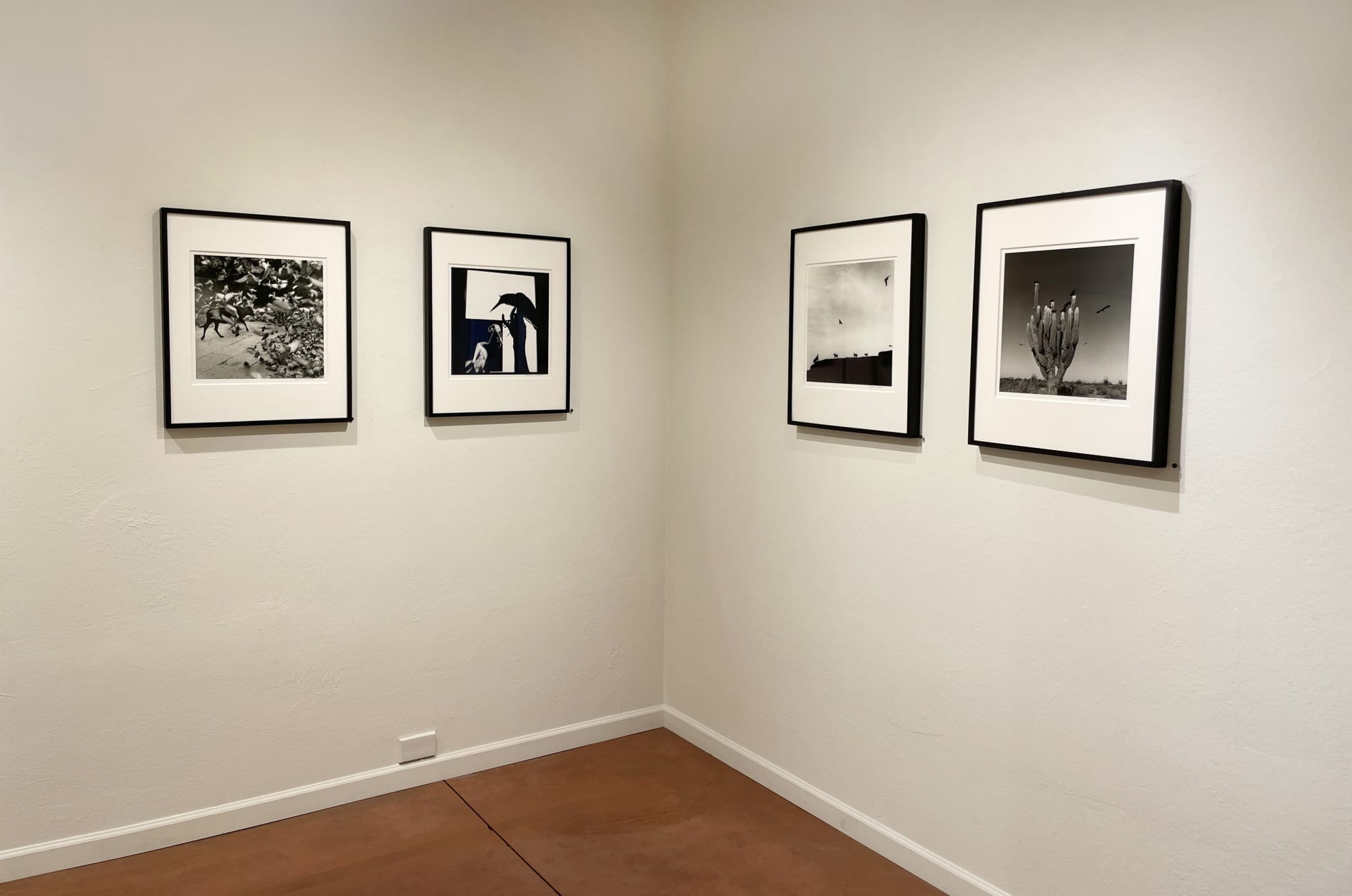 Graciela Iturbide: Sueños, Símbolos, y Narración