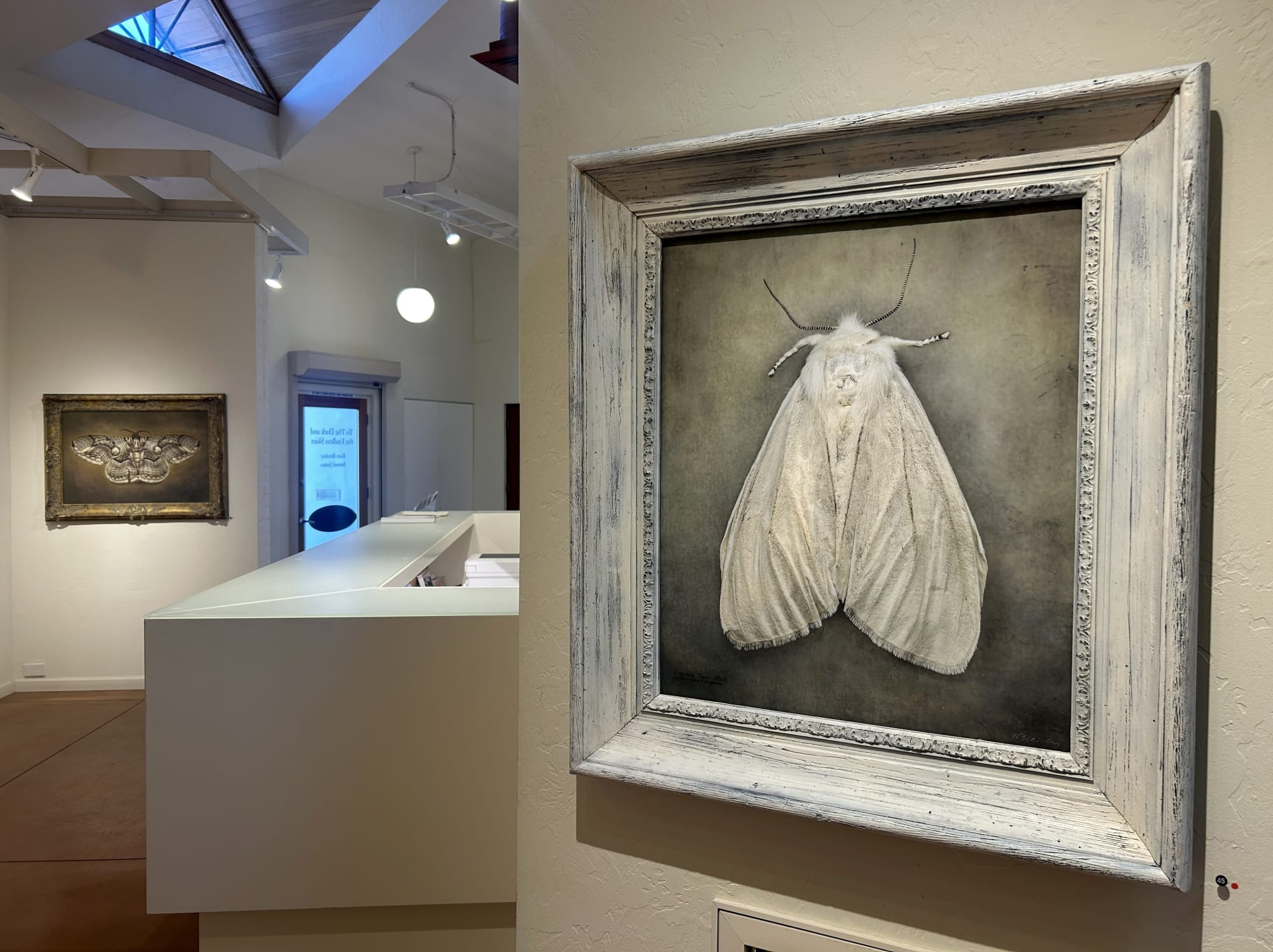 Kate Breakey and Samuel James: To the Dark and the Endless Skies