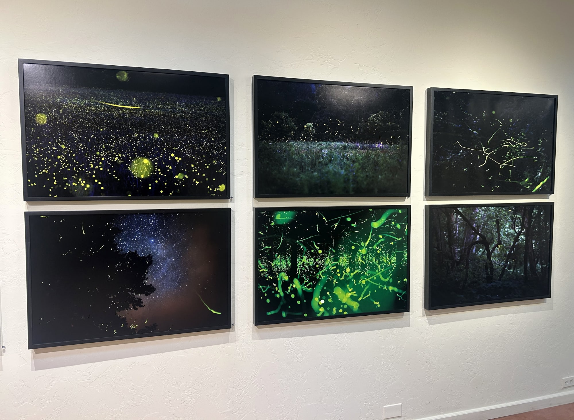 Kate Breakey and Samuel James: To the Dark and the Endless Skies