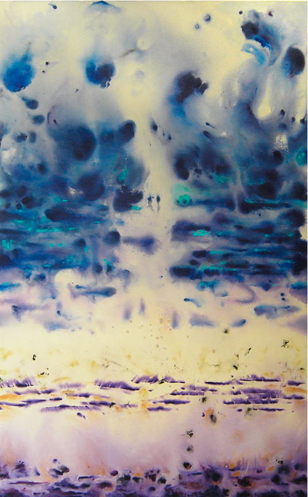 Hanibal Srouji Mer V, 2010 Acrylic on burnt canvas 232 x 142 cm 91 1/4 x 56 in