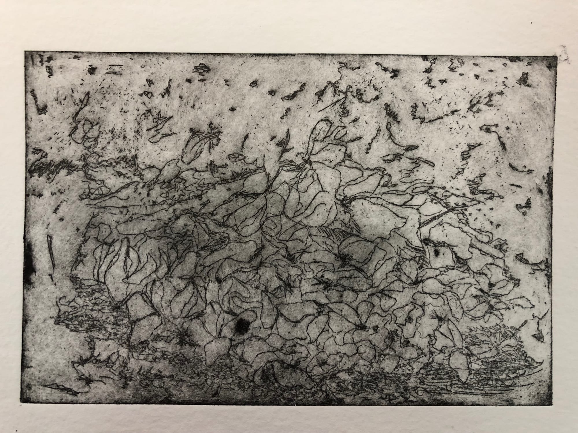 Zeina Salameh Rose Petal Jam, 2018 Etching, aquatint, and dry point on paper 10 x 15 cm 4 x 6 in