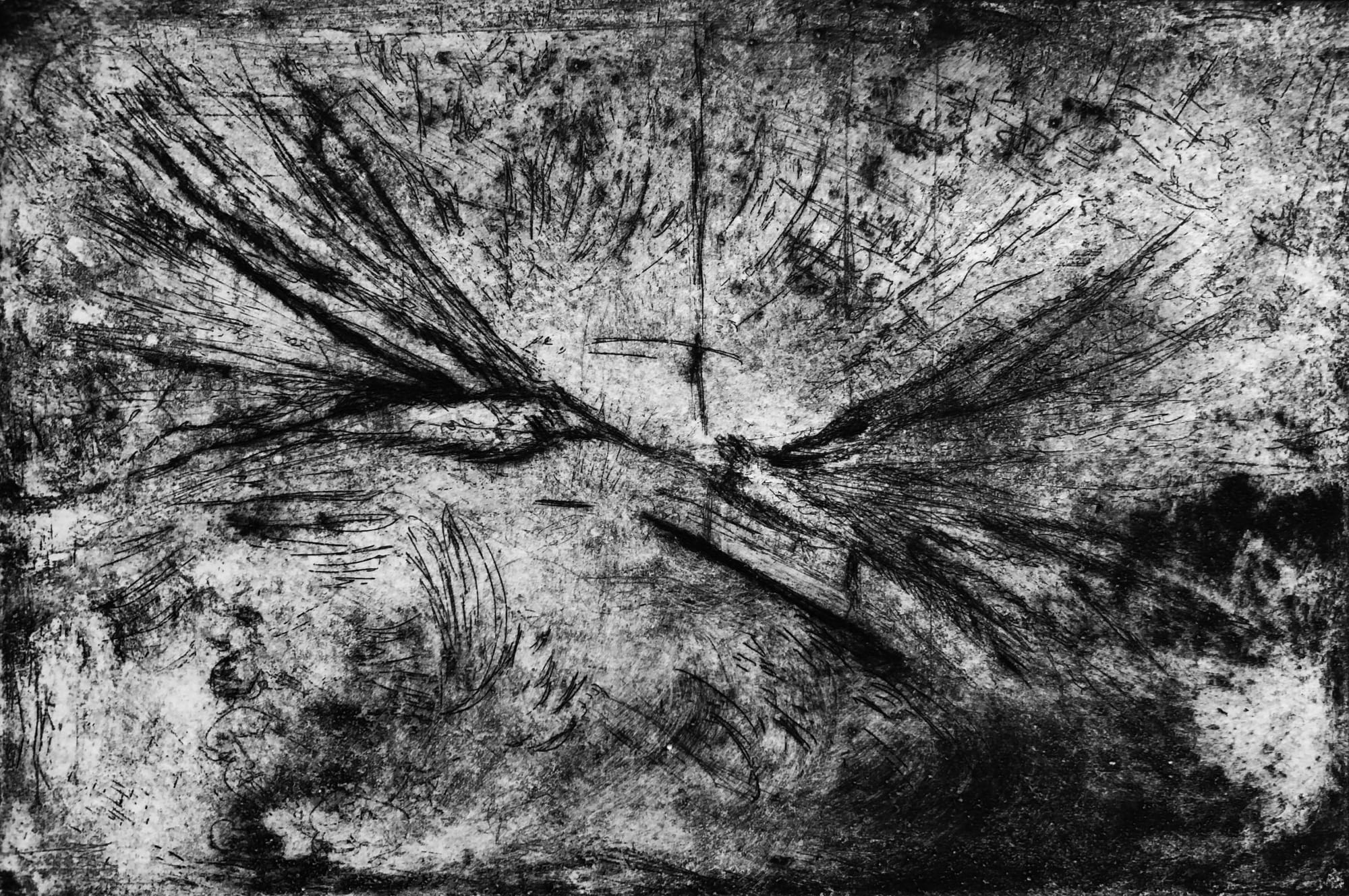 Zeina Salameh Love Birds, 2018 Etching, aquatint, and dry point on paper 10 x 15 cm 4 x 6 in