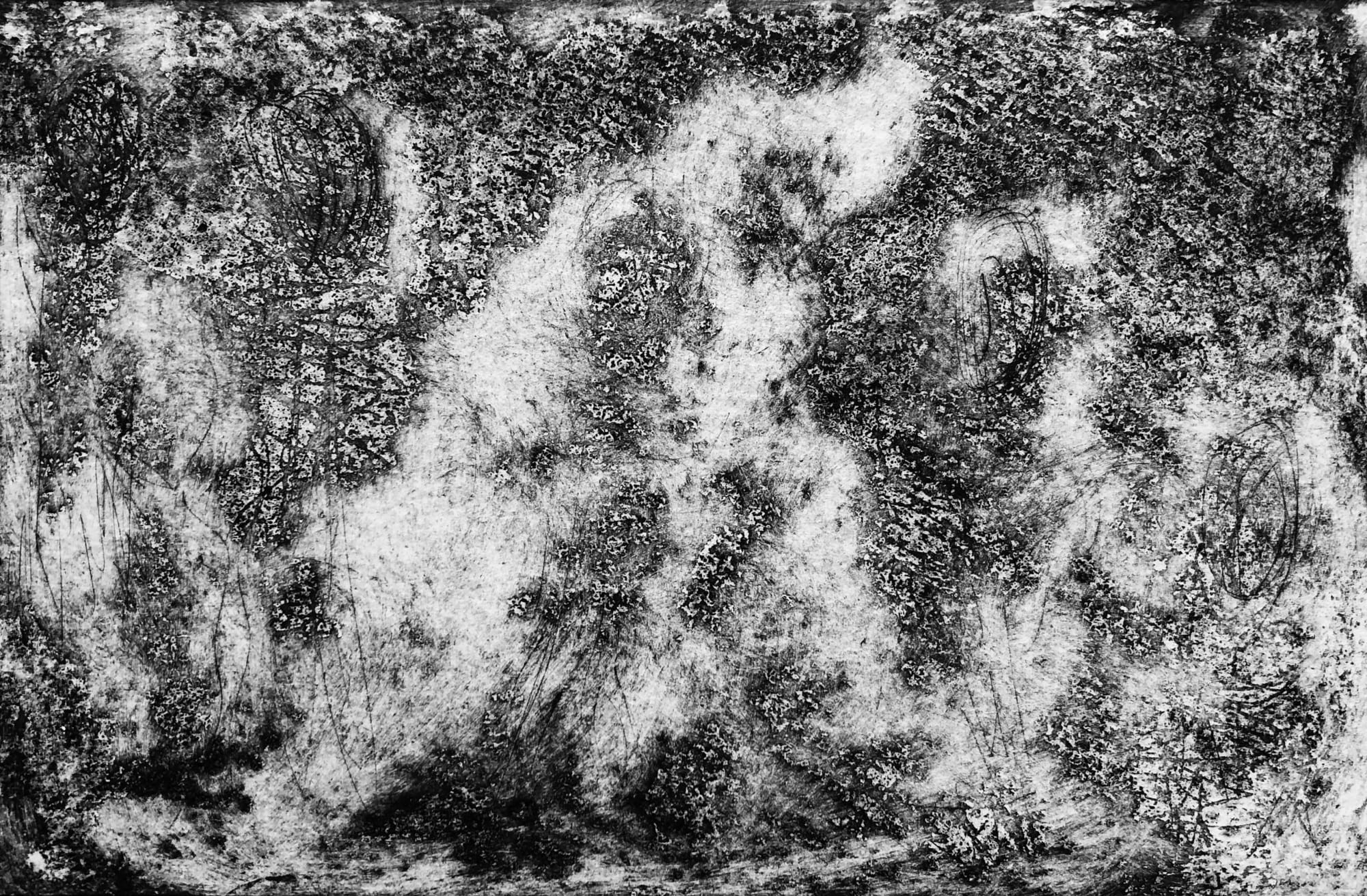 Zeina Salameh 5 Illusions, 2018 Etching, aquatint, and dry point on paper 10 x 15 cm 4 x 6 in