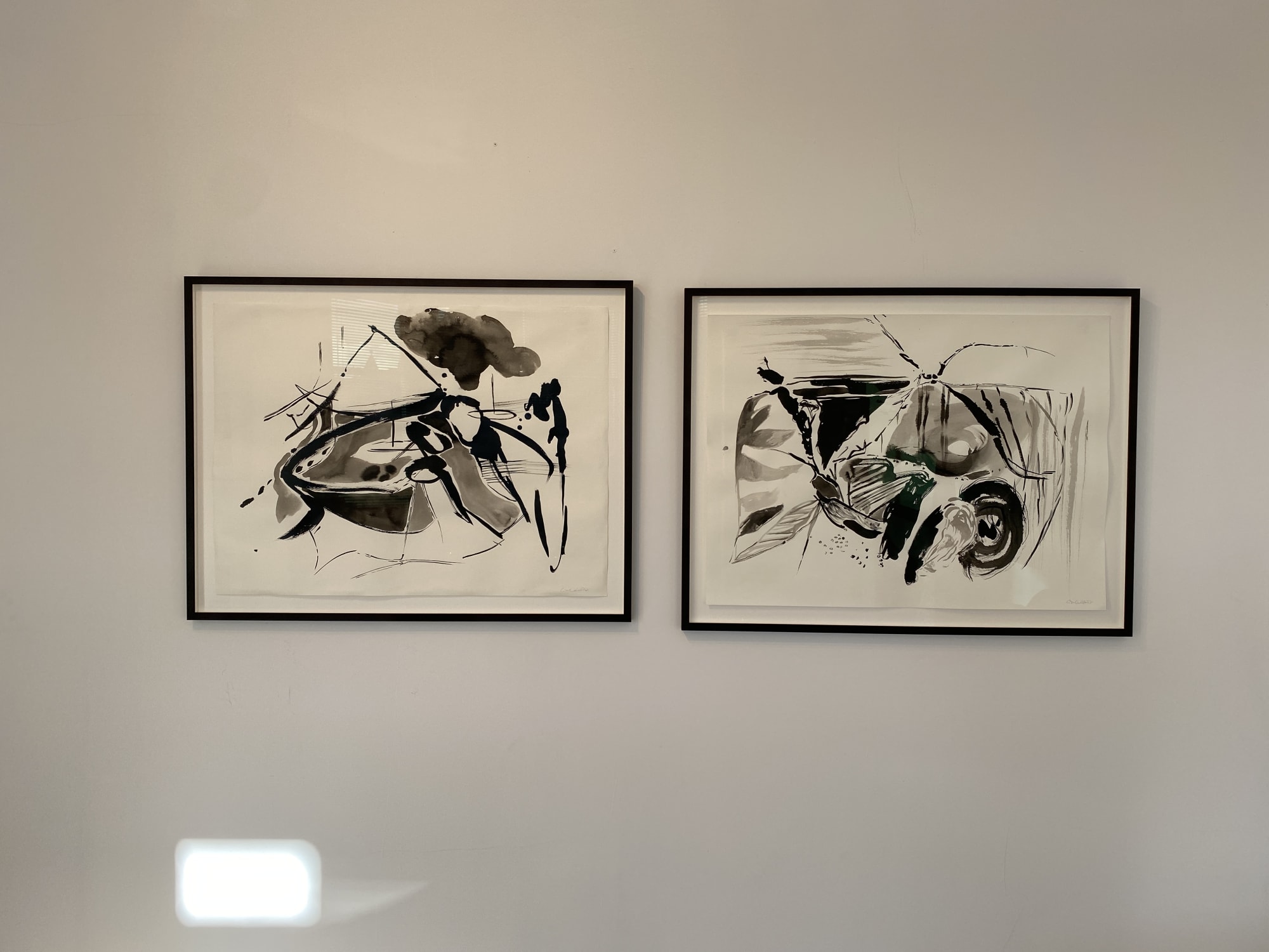 Christmas Mixed Show