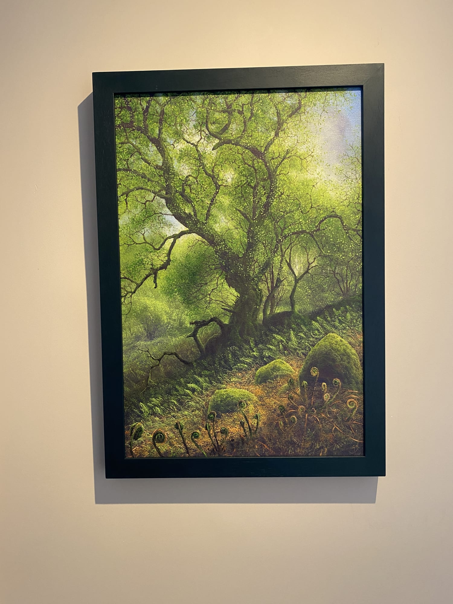 Christmas Mixed Show