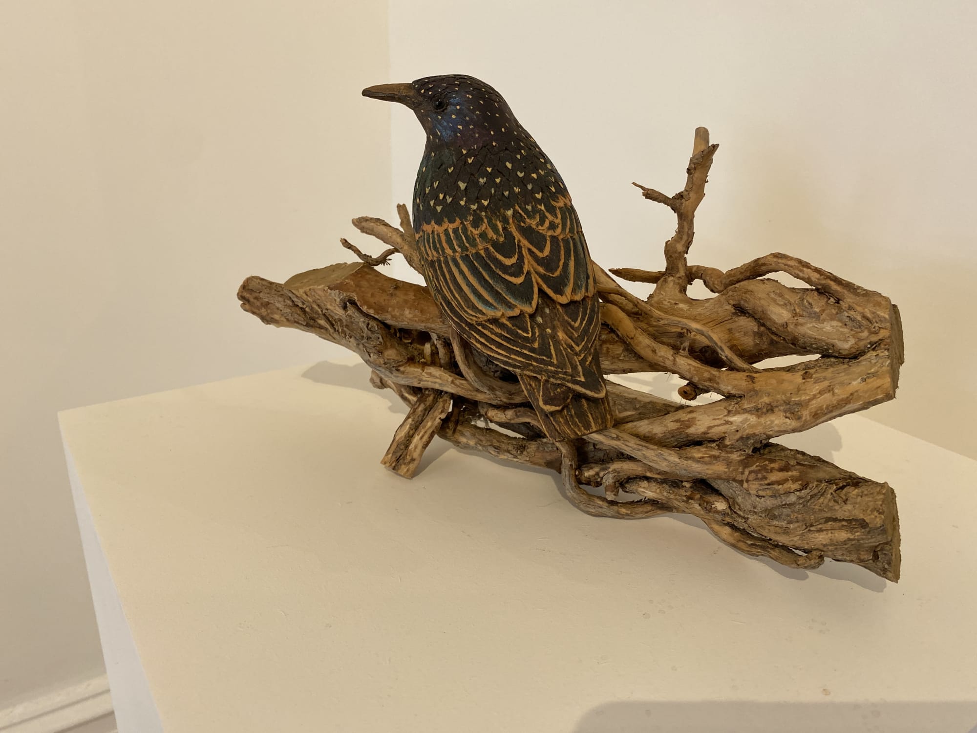 Christmas Mixed Show