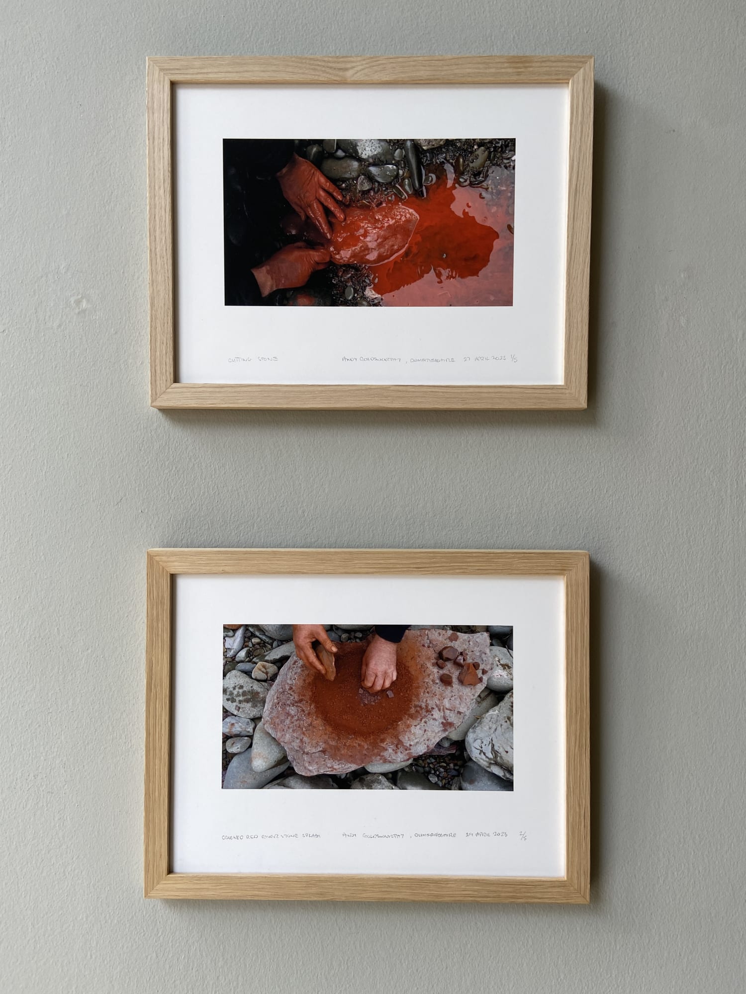 The Extinction Collection