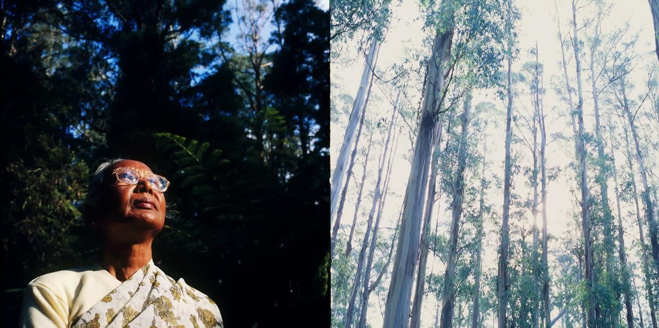 Sonal Kantaria, Kalaya, 2013