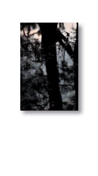 Kate Baker, Sublimate #2, 2020