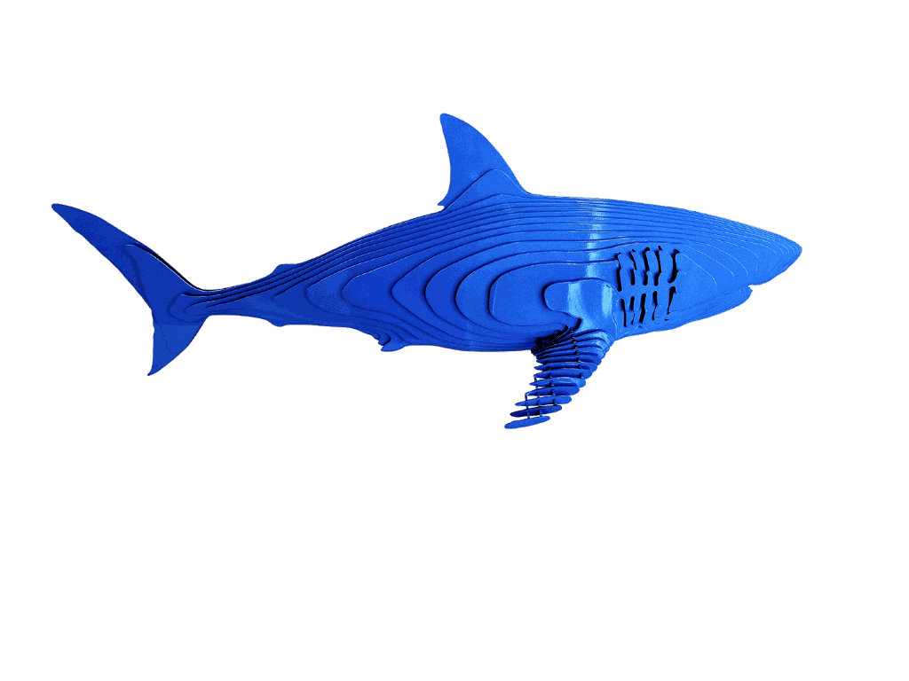 Jean Paul KALA, Sharky, 2022